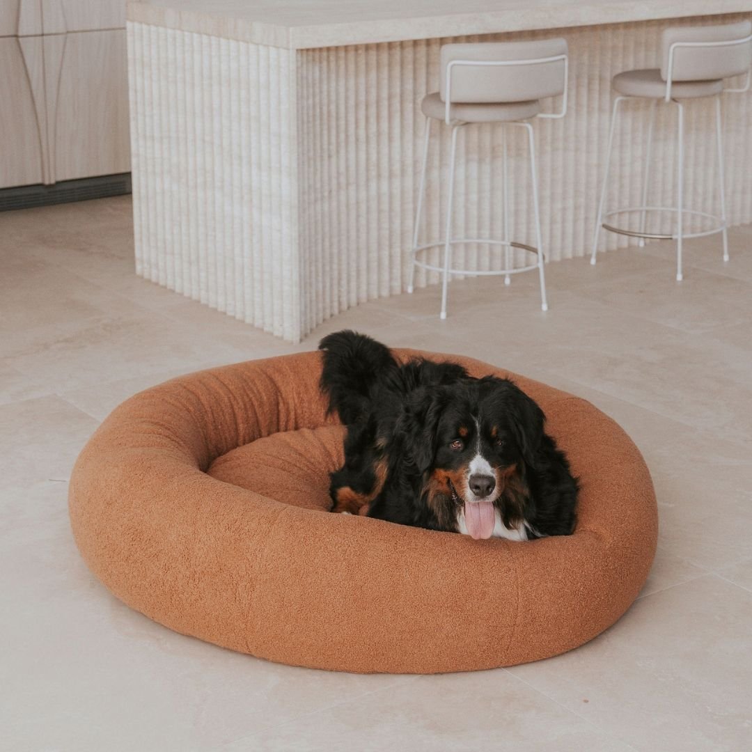 Premium Teddy Bed - Image 3