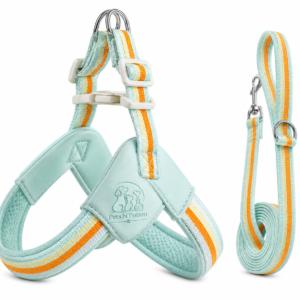 Pets N Potion Reflective No Pull Dog Harness & Leash Set – Adjustable Soft Mesh Vest Harness – Mint Green